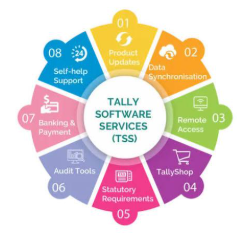 Tally Services illustration